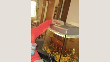 Hinckley care home Residents welcome fish to the home